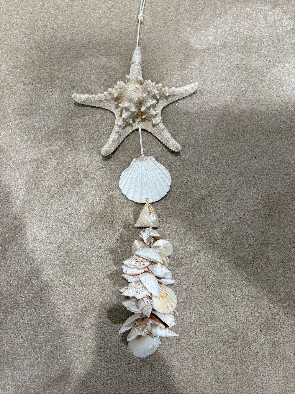 Natural White Seashell and Starfish Hanging Wall Decor